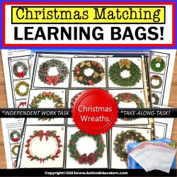 Christmas Wreath Match Pictures Learning Bag for Special Education and Reading